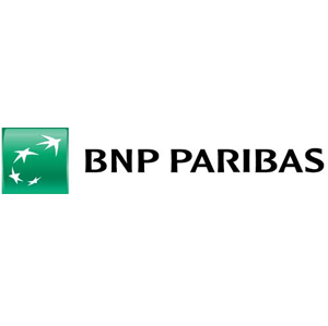 logo  bnp
